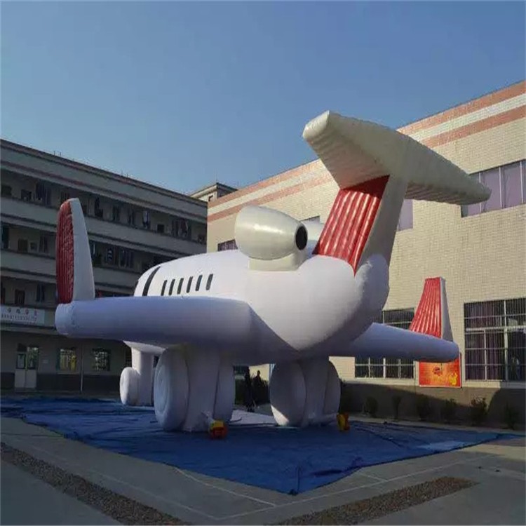 隆尧充气模型飞机厂家