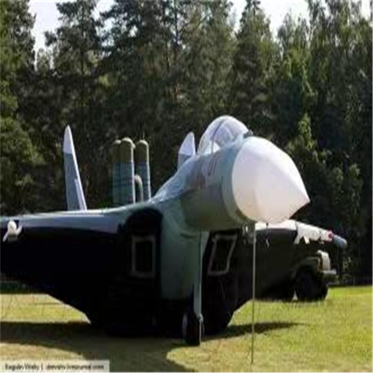 隆尧充气模型飞机制造商家